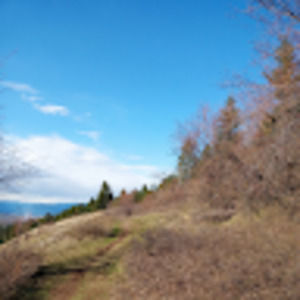 Meet your Posher, Emaline rose